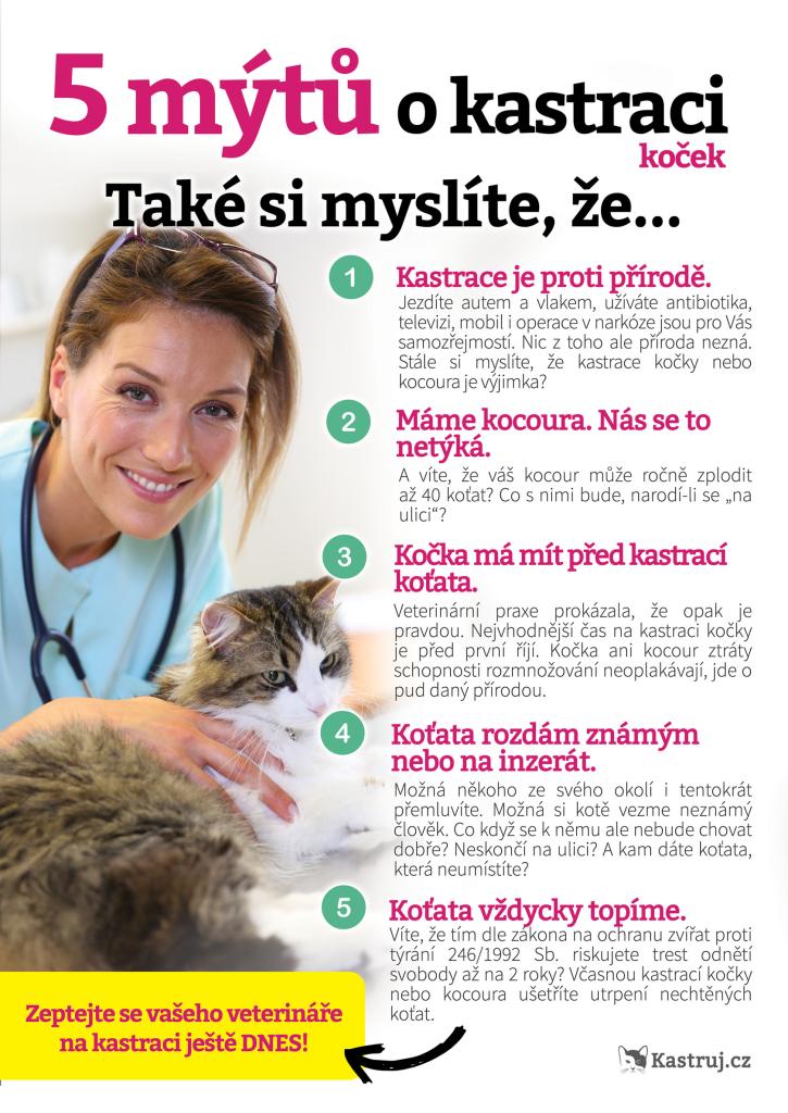 Mýty o&nbsp;kastraci koček
